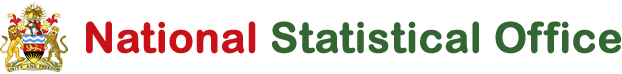 National Statistics Office